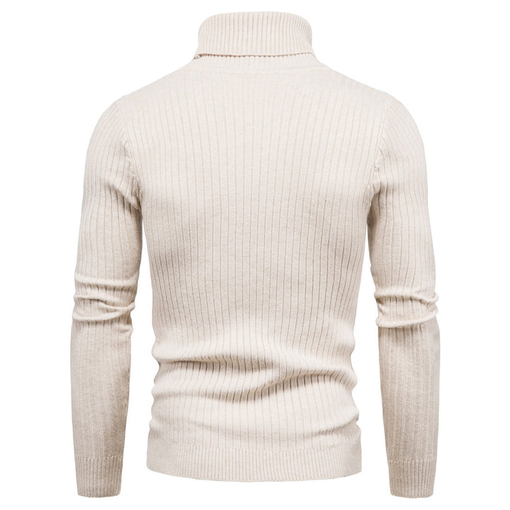 Herren komfortabler Rollkragenpullover Echoarchiv