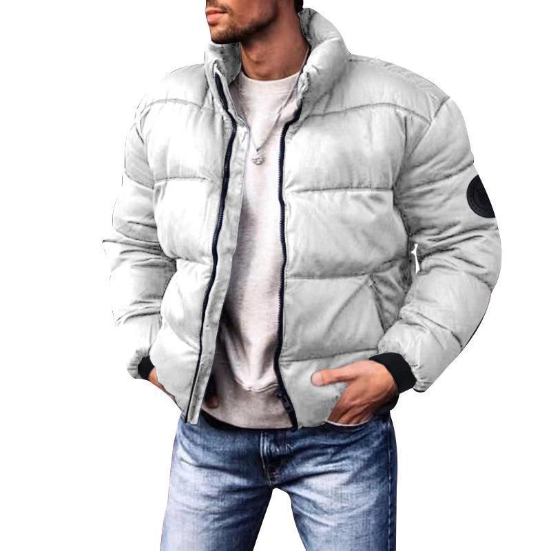 Herren Kurze Thermo-Steppjacke mit Korpuspaneelen, hohem Stehkragen und elastischen Bündchen Echo Archiv