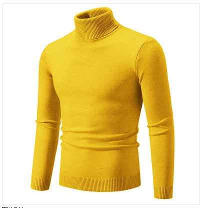 Herren Rollkragenpullover aus weichem Feinstrick Echoarchiv