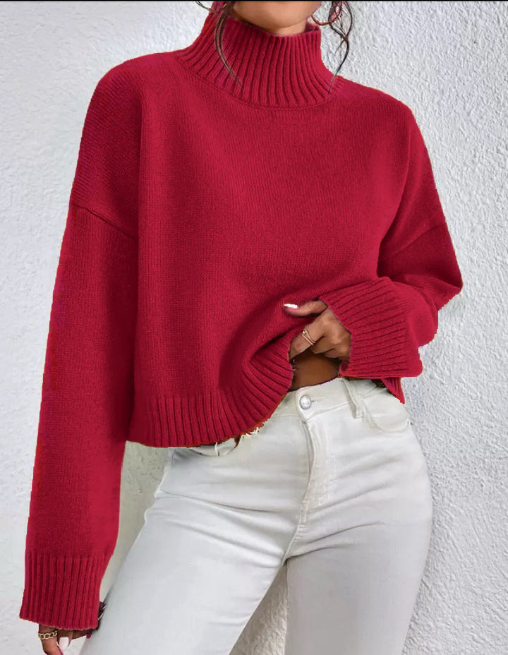 Damen modischer Kragenpullover aus weicher Wolle Echoarchiv