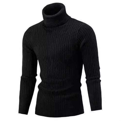Herren Pullover mit hohem Kragen und strukturiertem Zopfmuster Echoarchiv