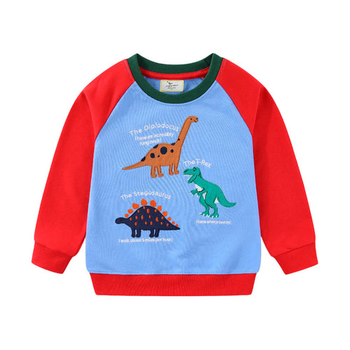 Jungen Sweatshirt mit lustigem Dinosaurierdesign Echo Archiv