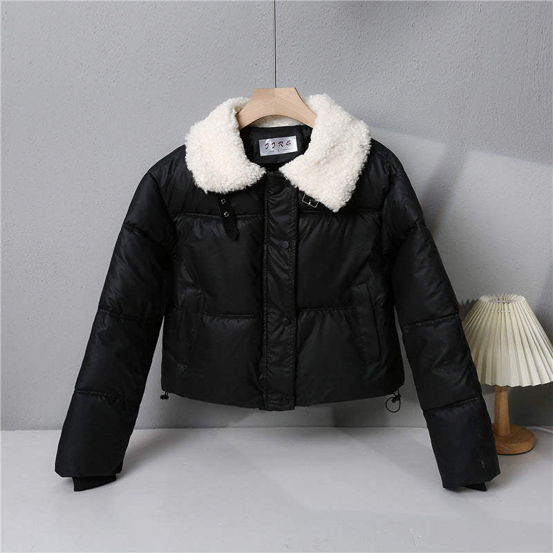Damen nan kurze gesteppte Winterjacke mit Teddykragen, wattierter Isolierung und verdecktem Druckknopfverschluss Echo Archiv