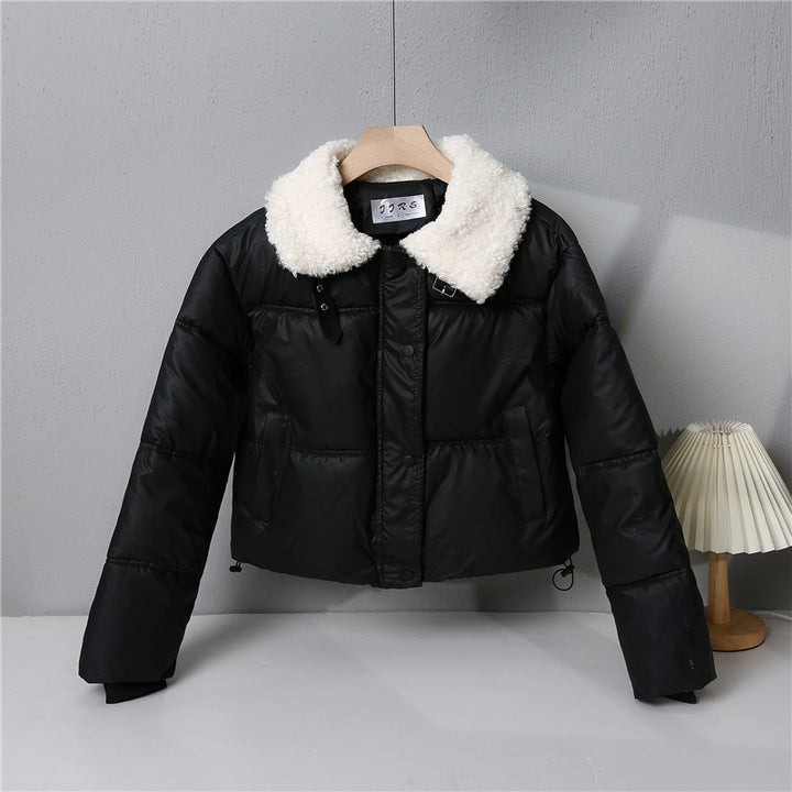 Damen nan kurze gesteppte Winterjacke mit Teddykragen, wattierter Isolierung und verdecktem Druckknopfverschluss Echo Archiv