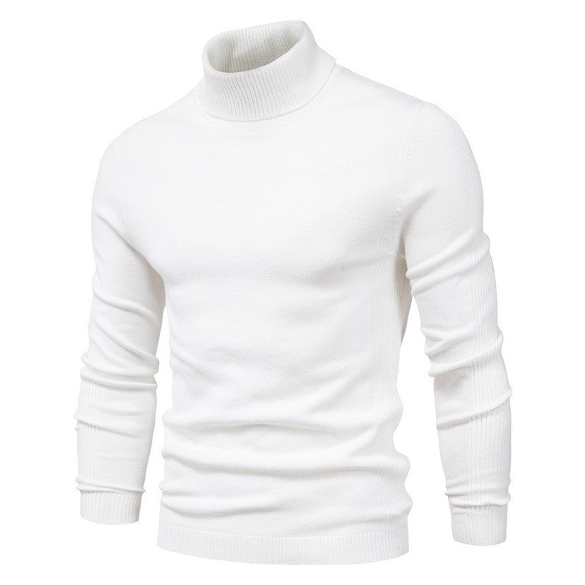 Herren modischer Rollkragenpullover aus feiner Merinowolle Echoarchiv