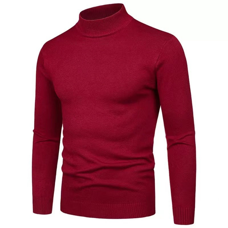 Herren Rollkragenpullover aus hochwertigem Strickmaterial Echoarchiv
