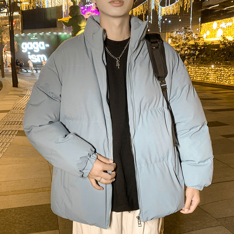Herren Steppjacke mit hohem Kragen und elastischen Bündchen Echoarchiv