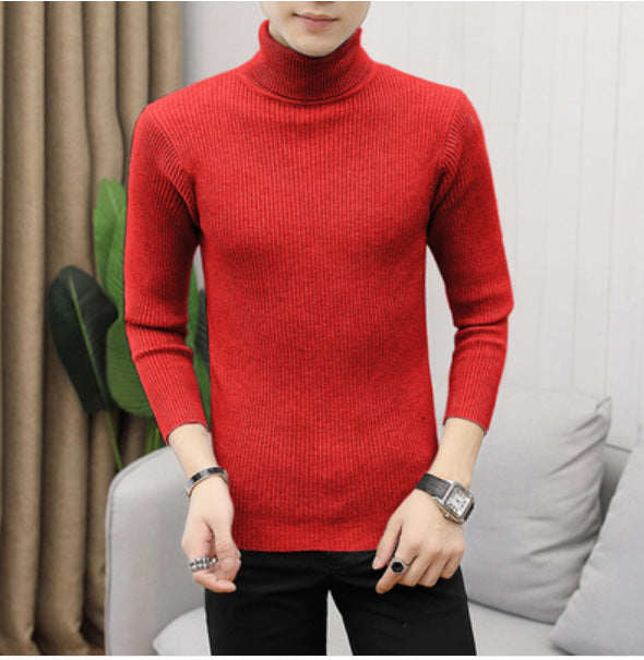 Herren hochwertiger Rollkragenpullover aus feinem Rippstrick Echoarchiv