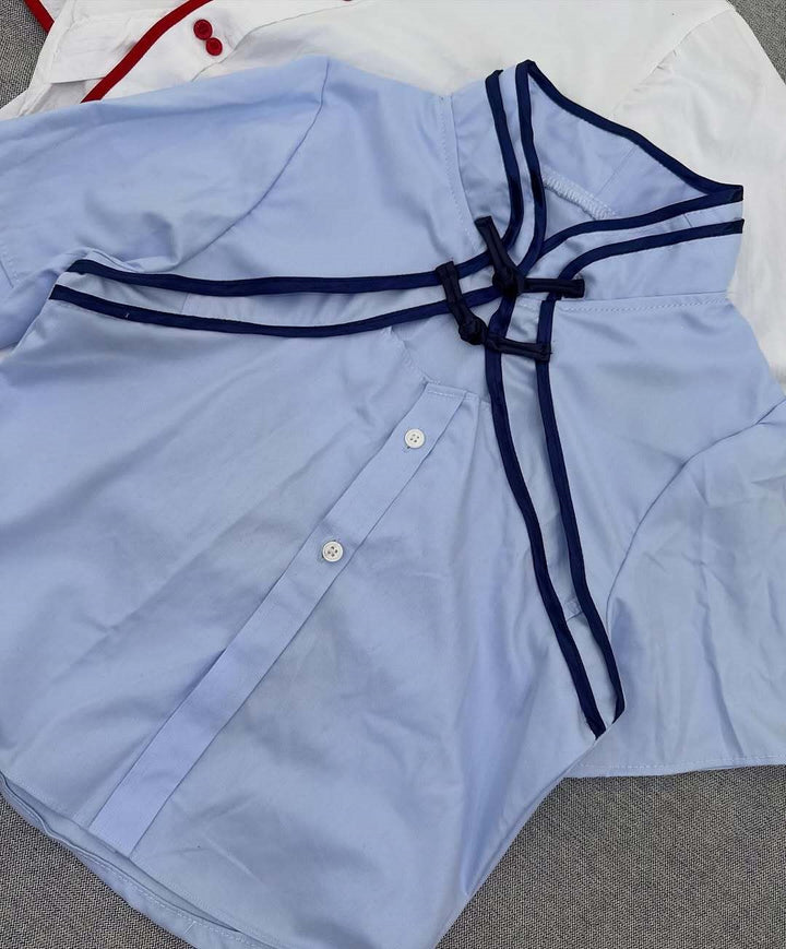 Damen Elegante Chiffon-Bluse mit Stehkragen und Rüschendetails Echo Archiv