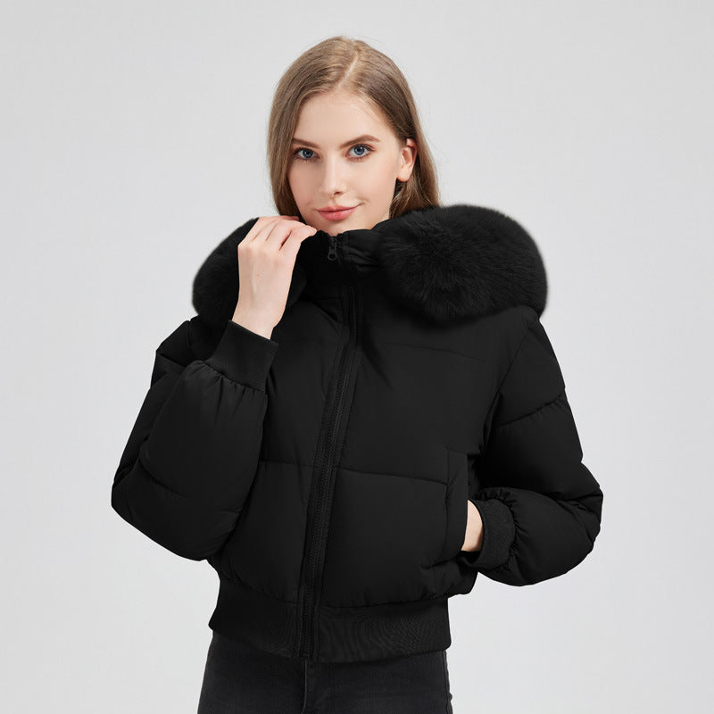 Damen kurzer gesteppter Kapuzenblouson mit Webpelzblende und geripptem Saum – Célinea