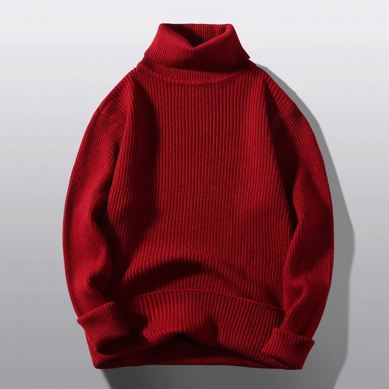Herren bequemer Rollkragenpullover aus strukturiertem Strick Echoarchiv