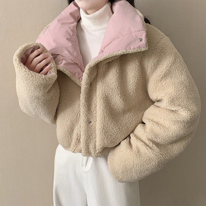 Damen nan kurze wattierte Jacke mit hochschließendem Schalkragen und Teddybündchen Echo Archiv