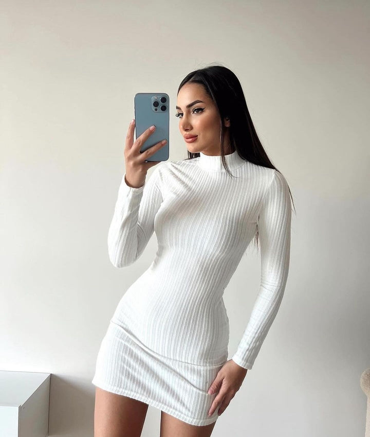 Damen Enganliegendes Rippstrick-Minikleid mit Rollkragen und langen Ärmeln Echoarchiv