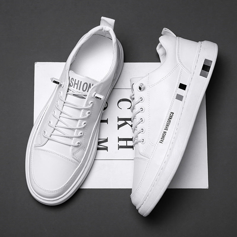 Damen Modische Sneakers mit rutschfester Sohle und atmungsaktivem Obermaterial Echo Archiv