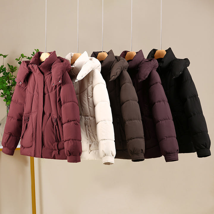 Damen Kurzjacke im Puffer‑Look mit Kapuze, taillierender Schnitt und Reißverschluss Echo Archiv
