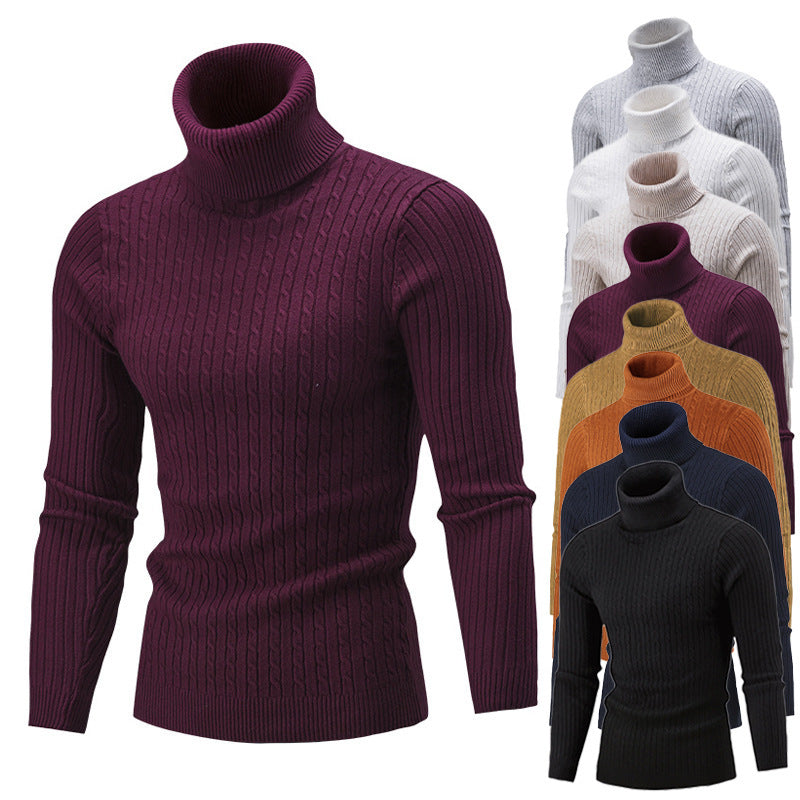 Herren Rollkragenpullover aus hochwertigem Strick Echoarchiv