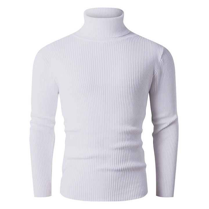 Herren eleganter Rollkragenpullover aus strukturiertem Strickmaterial Echoarchiv