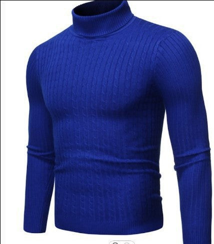 Herren nan gerippter Rollkragenpullover mit Zopfmuster und körpernaher Slim-Fit-Silhouette Echo Archiv