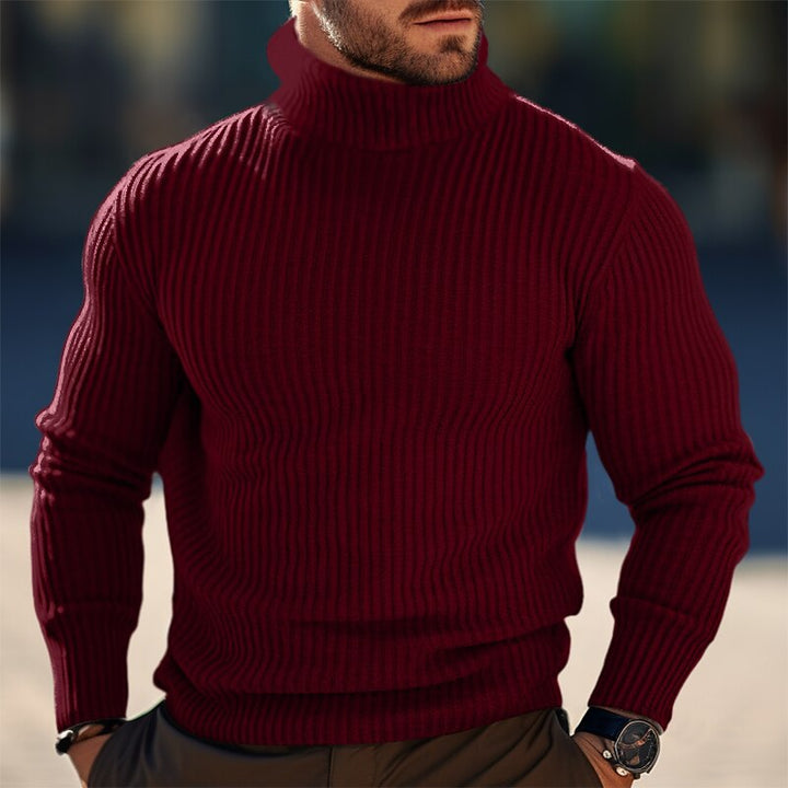 Herren Rollkragenpullover mit Rippstruktur und figuruformendem Schnitt Echoarchiv