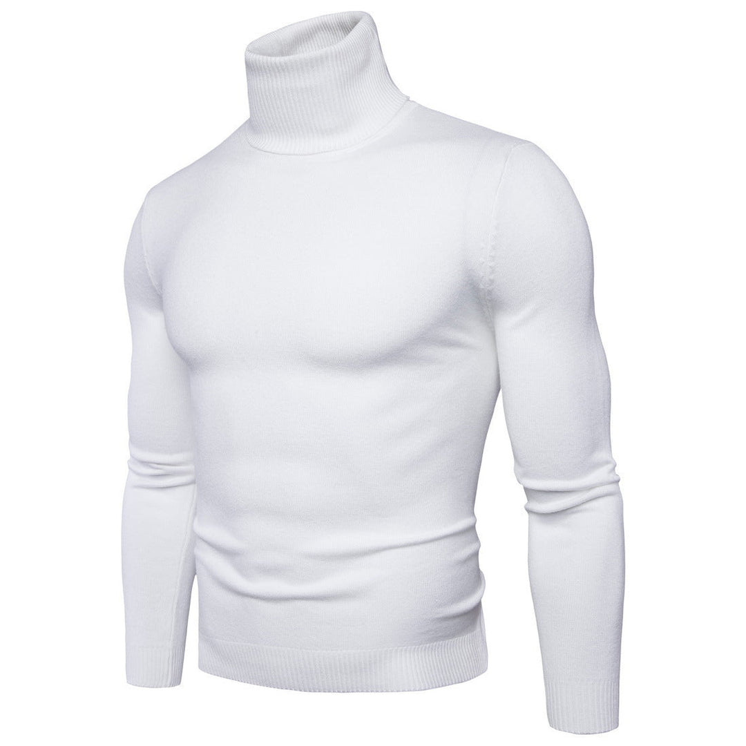 Herren Rollkragenpullover aus feiner Merinowolle Echoarchiv