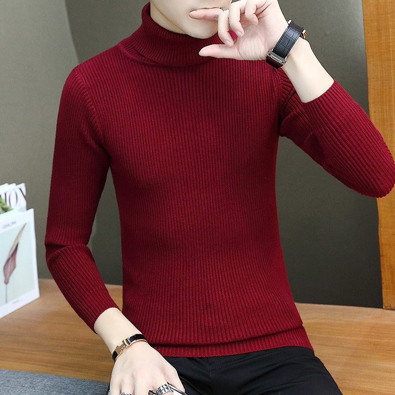 Herren Rollkragenpullover aus hochwertigem Rippenstrick Echoarchiv