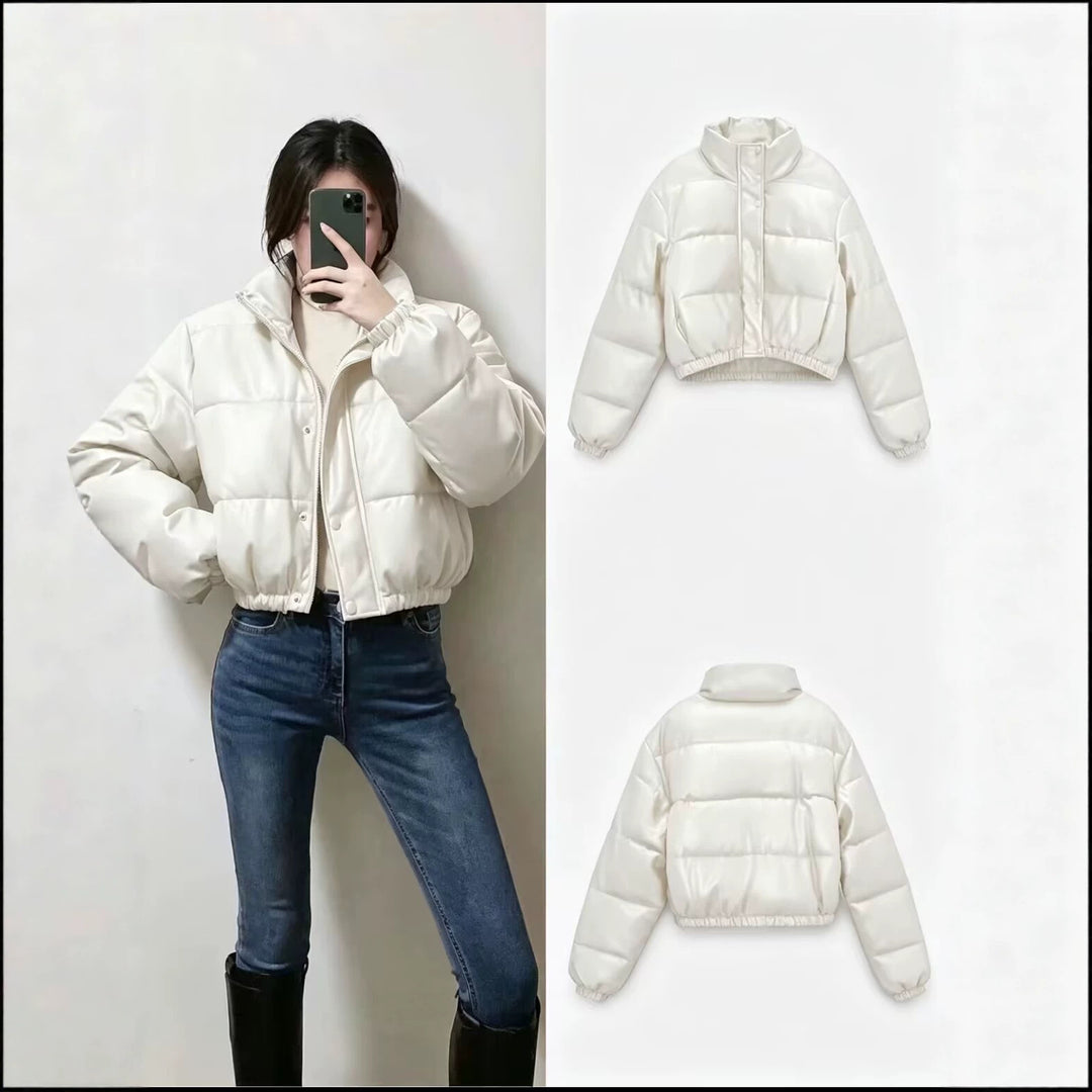 Damen Kurze wattierte Blousonjacke im Boxy-Look mit Stehkragen und elastischem Saum Echoarchiv