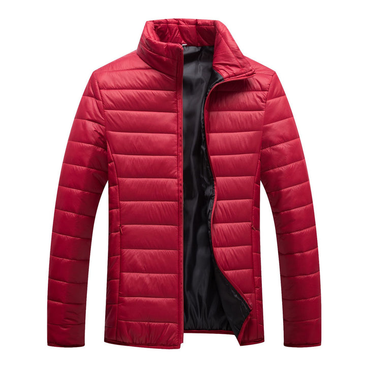 Herren Steppjacke mit hochgeschlossenem Kragen und wärmender Füllung Echoarchiv
