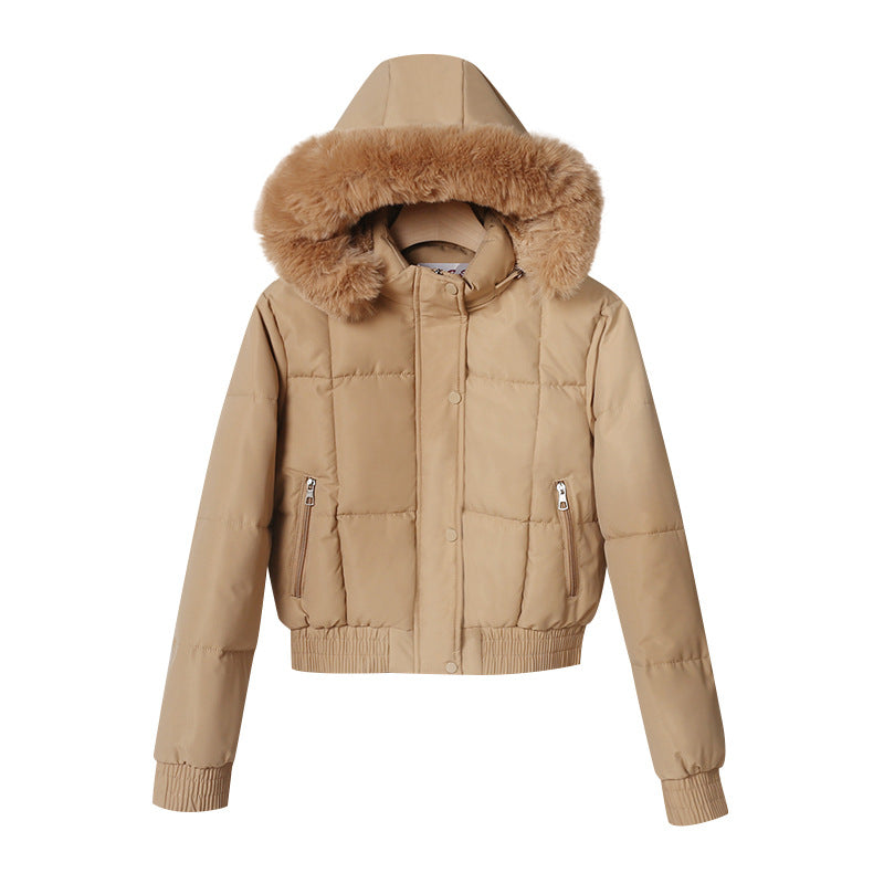 Damen kurzer isolierender Kapuzenblouson mit voluminöser Pelzkragenblende und elastischem Rippsaum – Célinea