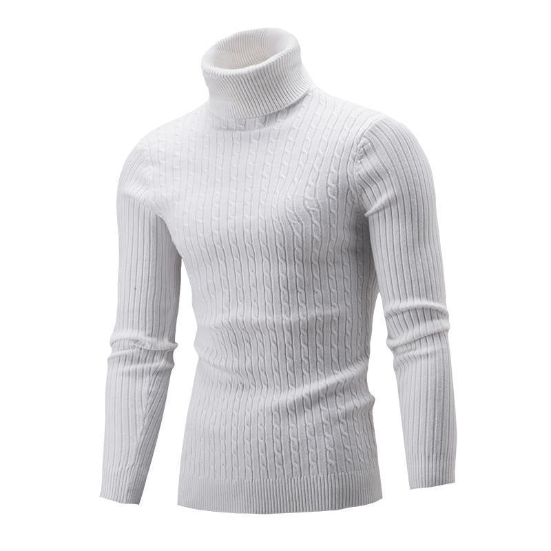 Herren Rollkragenpullover mit strukturiertem Zopfmuster und modernem Schnitt Echoarchiv