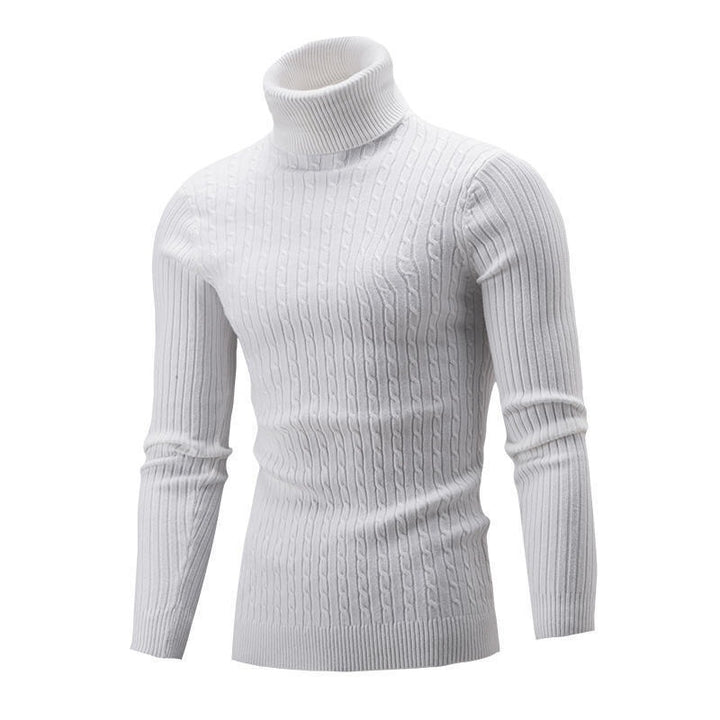 Herren Rollkragenpullover mit strukturiertem Zopfmuster und modernem Schnitt Echoarchiv
