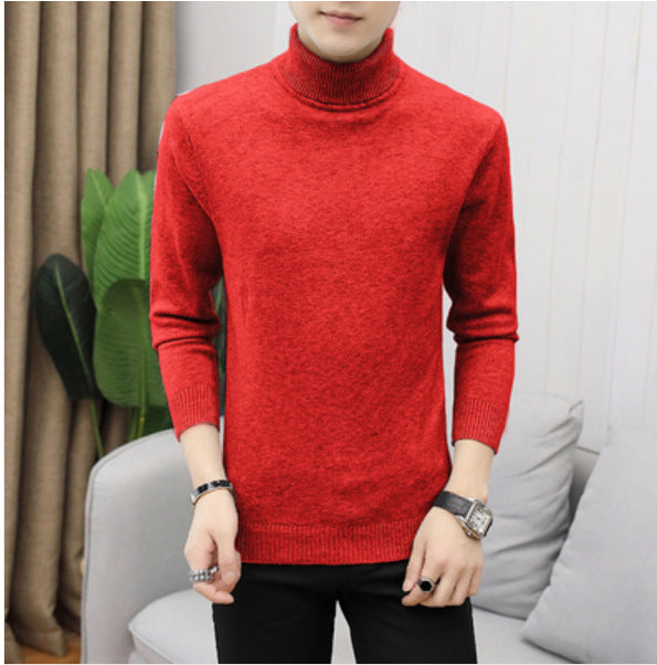 Herren Rollkragenpullover aus hochwertiger Baumwolle Echoarchiv