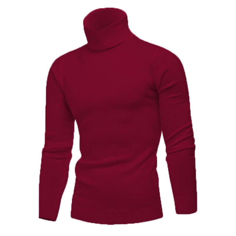 Herren Strickpullover mit hohem Kragen Echoarchiv