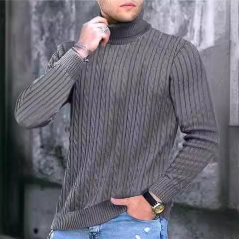 Herren Rollkragenpullover mit strukturiertem Kabelstrickdesign Echoarchiv