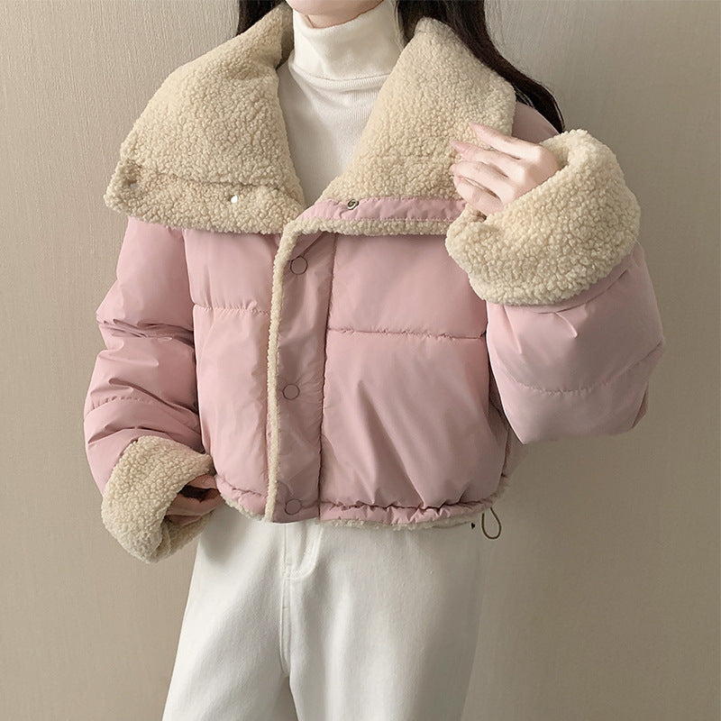 Damen nan kurze wattierte Jacke mit hochschließendem Schalkragen und Teddybündchen Echo Archiv