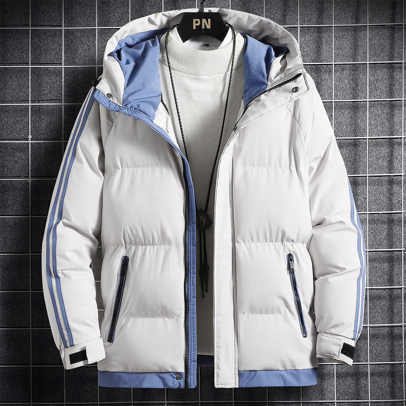 Herren Sportliche Daunenjacke mit hohem Kragen Echoarchiv