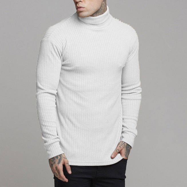 Herren modisches Langarmshirt mit Rollkragen Echoarchiv