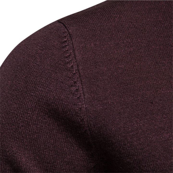 Herren Feinstrickpullover mit hohem Kragen und modernem Design Echoarchiv