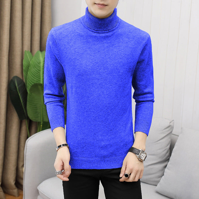 Herren modischer Rollkragenpullover mit feiner Struktur Echoarchiv