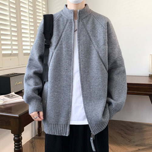 Herren Strickjacke mit hochgeschlossenem Kragen und Reißverschluss Echoarchiv