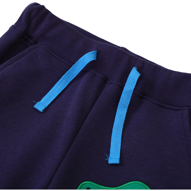 Jungen Sweatpants mit aufregendem Dinosaurier-Motiv Echo Archiv