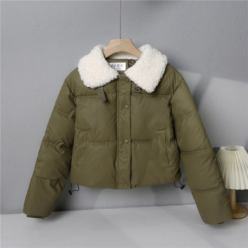 Damen nan kurze gesteppte Winterjacke mit Teddykragen, wattierter Isolierung und verdecktem Druckknopfverschluss Echo Archiv