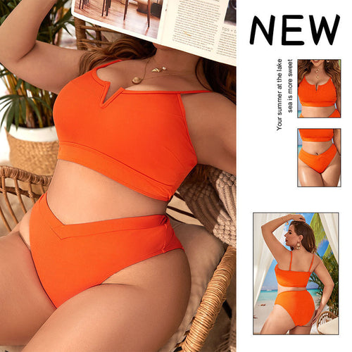 Damen Bikini-Set mit hoch geschnittenem Höschen und elegantem Crop-Oberteil Echo Archiv