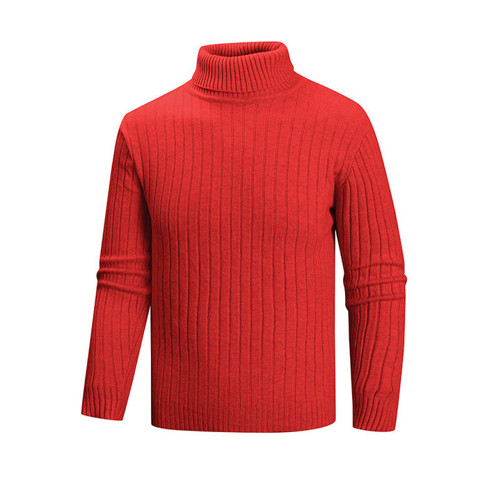 Herren Strickpullover mit Stehkragen Echoarchiv