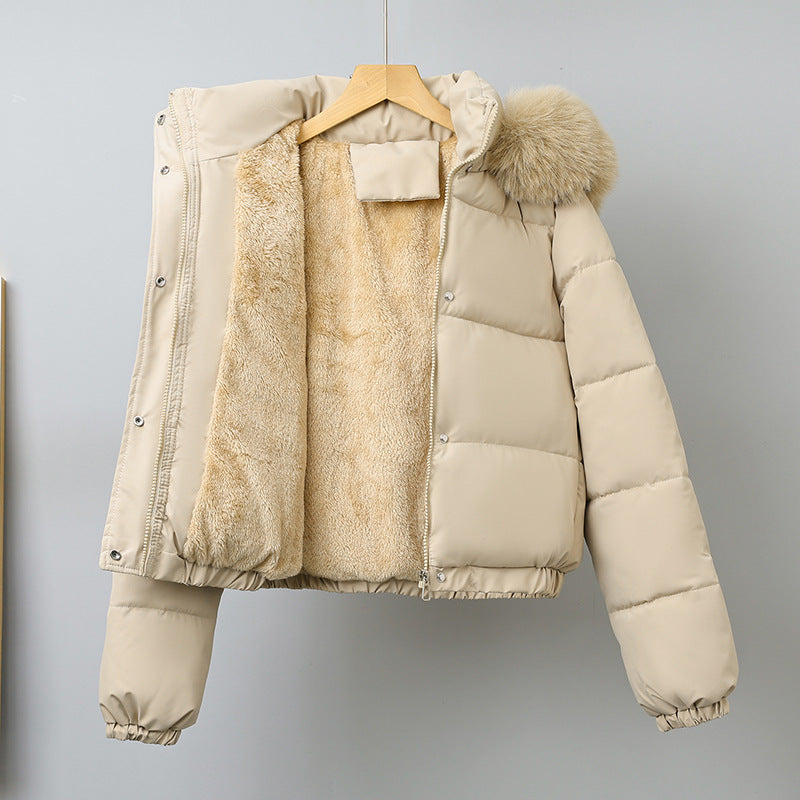 Damen kurz geschnittener Thermo-Blouson mit voluminöser Kapuzenblende und elastischem Saum – Célinea