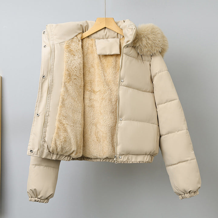 Damen kurz geschnittener Thermo-Blouson mit voluminöser Kapuzenblende und elastischem Saum – Célinea