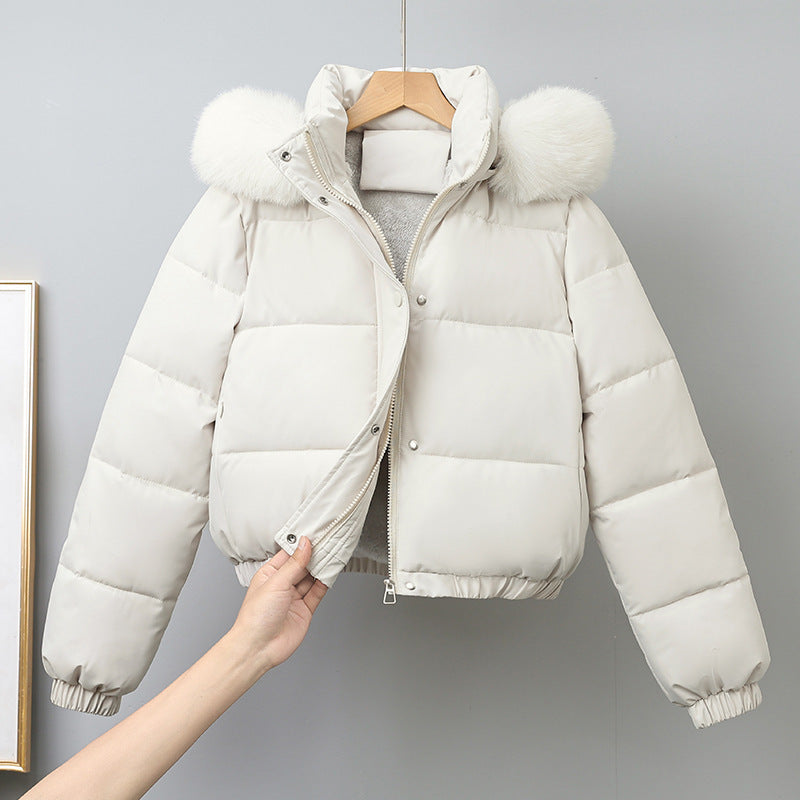 Damen kurz geschnittener Thermo-Blouson mit voluminöser Kapuzenblende und elastischem Saum – Célinea