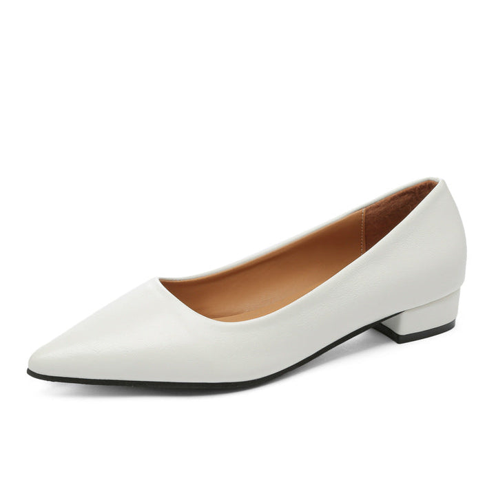 Damen klassische Ballerinas mit elegantem spitzen Design und bequemem Blockabsatz Echoarchiv