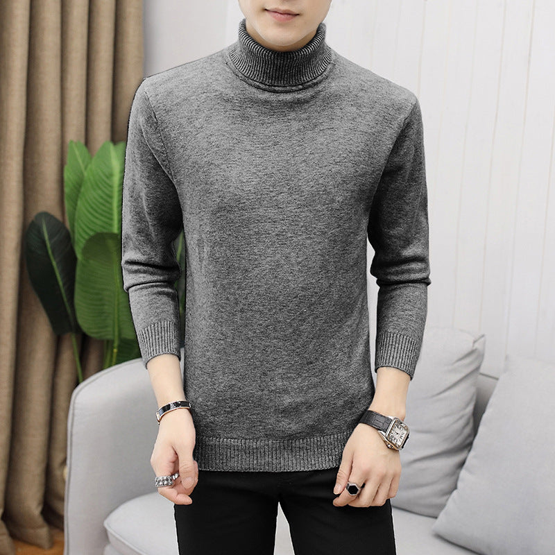 Herren modischer Rollkragenpullover mit feiner Struktur Echoarchiv