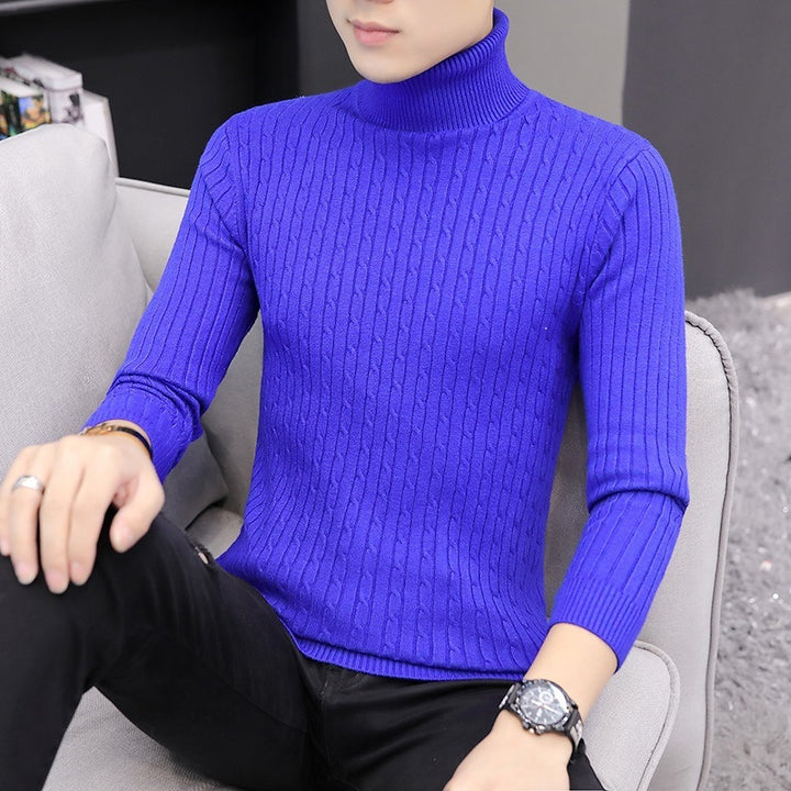 Herren Rollkragenpullover im stilvollen Rippstrickdesign Echoarchiv