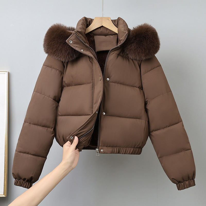 Damen kurz geschnittener Thermo-Blouson mit voluminöser Kapuzenblende und elastischem Saum – Célinea